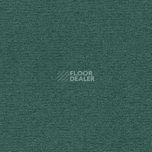 Ковролин Radici Nexus Turchese 8275 фото 1 | FLOORDEALER